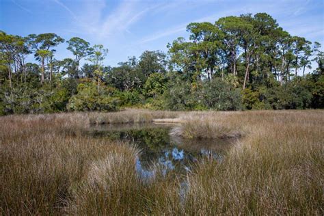 Fort Mose Historic State Park In St. Augustine, FL | America's State Parks