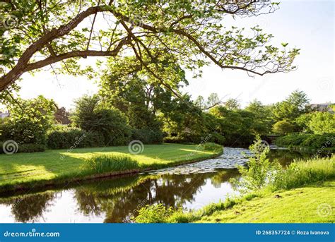 Beautiful Landscape Of Park Trees Located Along The Bank Of The Canal