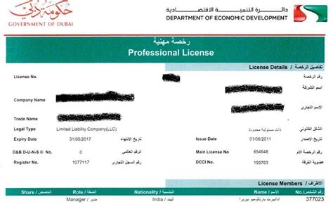 Professional License In Dubai Uae Business Setup Consultants