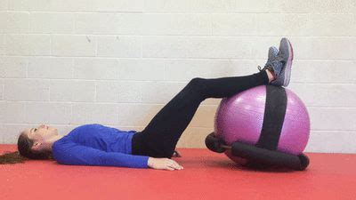 physical therapy ring home physical therapy ball exercises