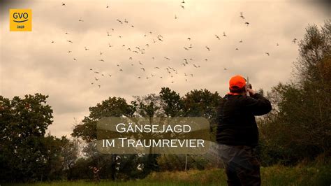 G Nsejagd Im Traumrevier Aurich Youtube