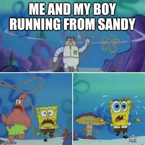 Spongebob Squarepants 10 Sandy Memes That True Fans Will Love