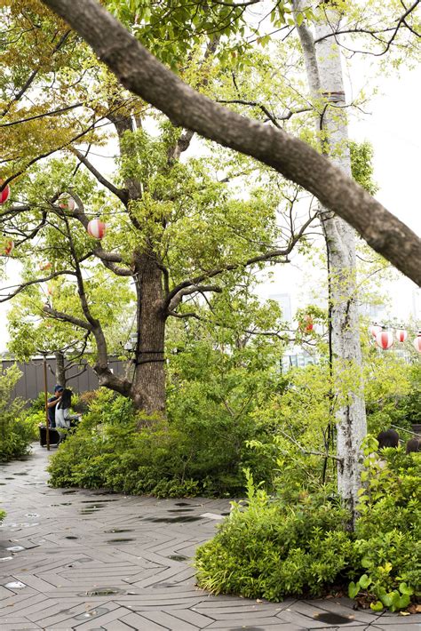 A cool guide to japan tokyo osaka and kyoto – Artofit