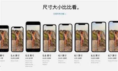 Iphone尺寸大全对照表，帮助你选购适合自己的iphone 适会说