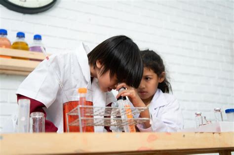 Ni O Y Ni A En La Clase De Ciencias Es La Base Para El Proceso De