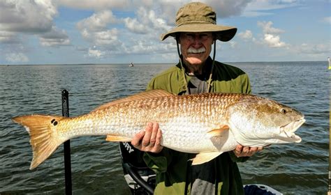 Louisiana Bull Redfish FIshing Zimmerman1 Adventure South