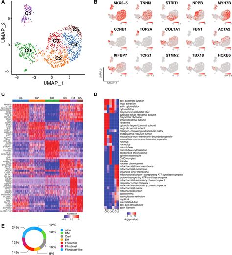 Frontiers Single Cell Transcriptomic Profiling Reveals Specific