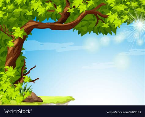 A Tree With Green Leaves And The Clear Blue Sky Vector Image