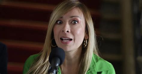 Katherine Miranda Señaló Los “puntos Críticos” De La Nueva Reforma A La Salud “podrá