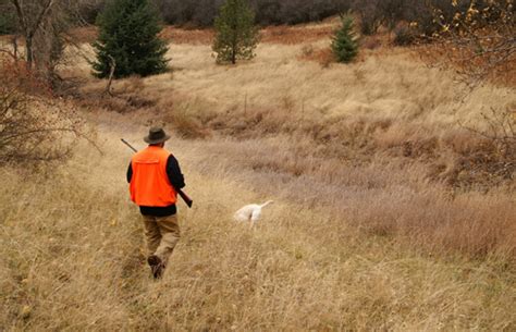 Hunting Illinois Farm And Rec Land