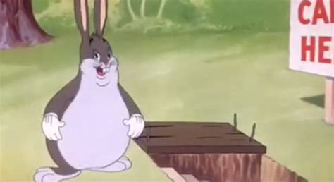 Meme of the Week: Big Chungus – The Advocate