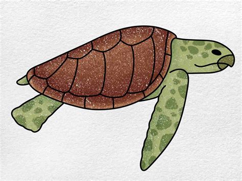 Loggerhead Turtle Drawing - HelloArtsy