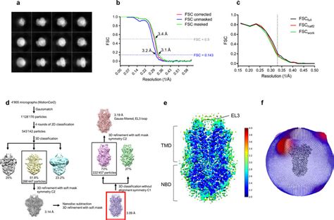 Cryo Em Map Generation Data Processing And Atomic Model Refinement Of