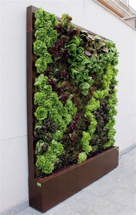 15 Edible Living Wall Ideas For Small Spaces Balcony Garden Web