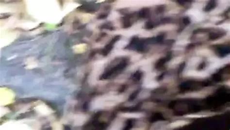 Free Public Outdoor Porn Videos XHamster