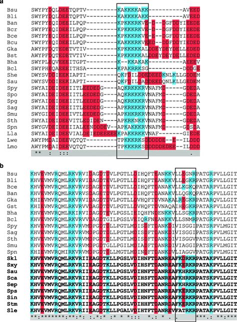 Amino Acid Sequence Alignments Of Subunits A And Subunits B Of