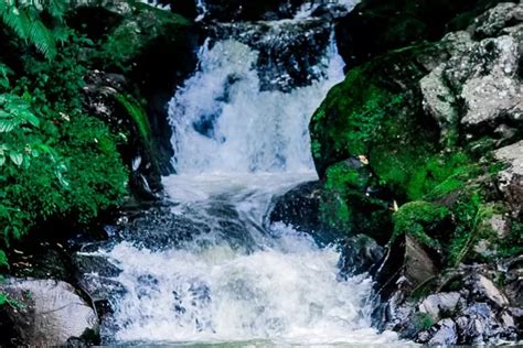 Curug Layung Spot Ngecamp Dengan Pemandangan Alam Yang Indah Di