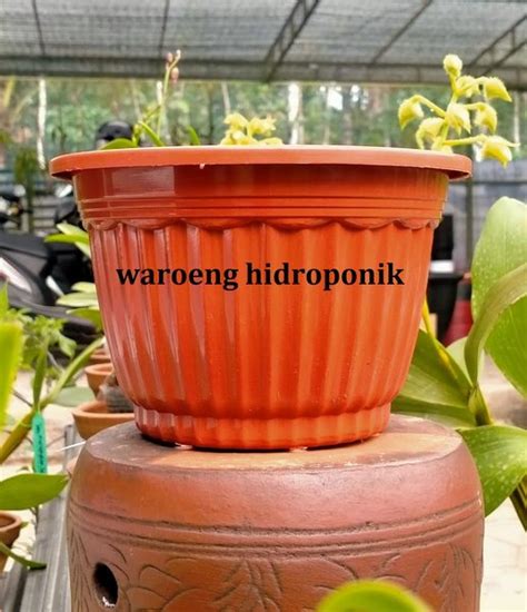 Jual Pot Gantung Pumba Merah Bata Untuk Tanaman Hias Di Lapak