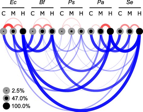 Similarity of the bacterial communities (family level) and abundance of ...