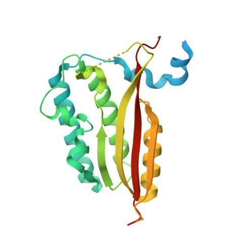 RCSB PDB 6KNY Structure Of Amuc 1100 Without Transmembrane Region