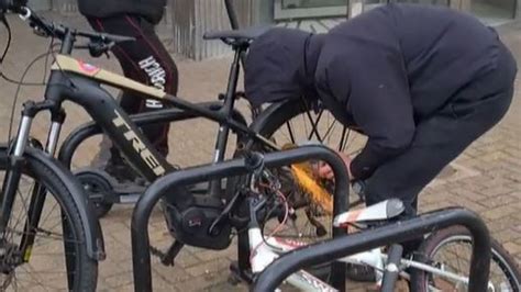 Video Thieves Use Angle Grinder To Steal Bicycle From Outside Shopping