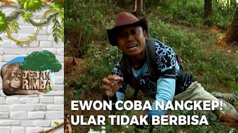 Ewon Coba Menangkap Ular Sapi Kuda Kecil Yang Tidak Berbahaya Jejak