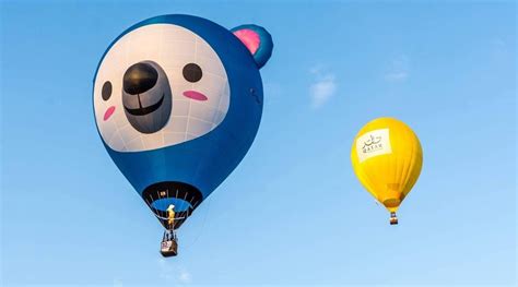 Tamil Nadu International Balloon Festival To Be Held From Jan In