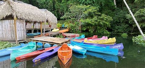 Ecological Reserve Nanciyaga ⭐ Catemaco, Veracruz Experts in Mexico