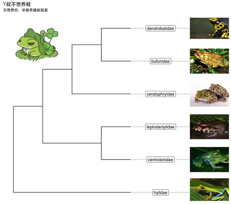 Annotating Phylogenetic Tree With Images Using Ggtree And Ggimage R