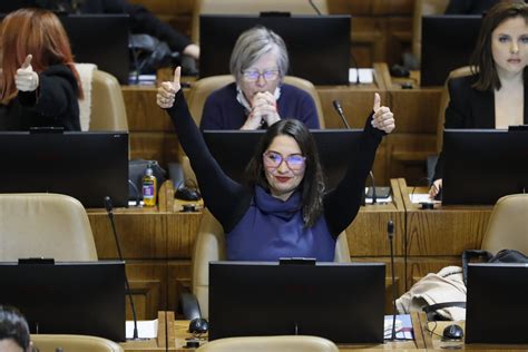 Cámara de Diputadas y Diputados aprueba proyecto que protege a