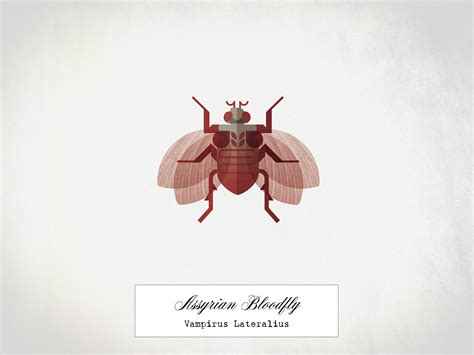 Exotic Pompeii Collection | Fantasy Insects on Behance