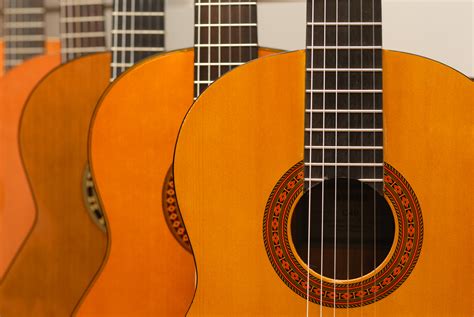 Types Of Acoustic Guitars Design Talk