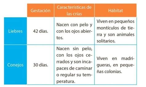 Qué es un Cuadro de Doble Entrada Ejemplos Cuadro Comparativo