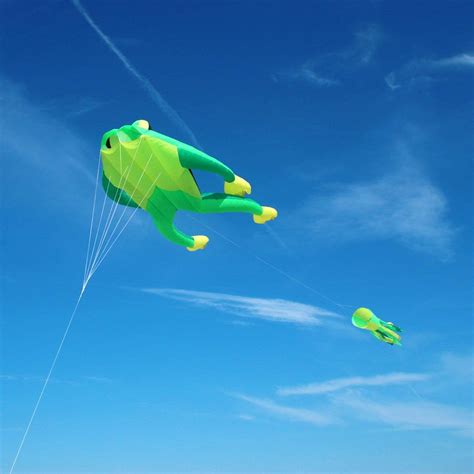 Wolkensturmer Fritz The Frog Kite 210cm Jws Europe Ltd