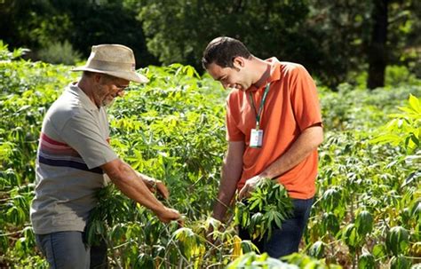 Agropiva A For A Que A Nossa Terra Precisa