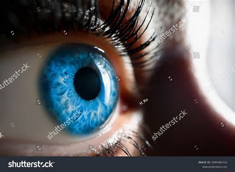 128,971 Eye Image Side View Images, Stock Photos & Vectors | Shutterstock