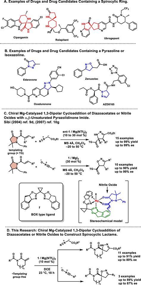 Enantioselective 1 3 Dipolar Cycloadditions of α Methylene Lactams to