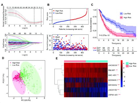 Risk Model Construction Based On The Prognostic Cuproptosis Related