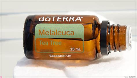 Doterra Aporta R 50 Milhões Em Sua Primeira Fábrica No Brasil