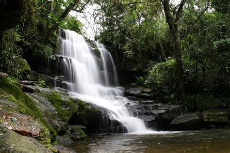 2023 Day tour to National Park Ybycuí