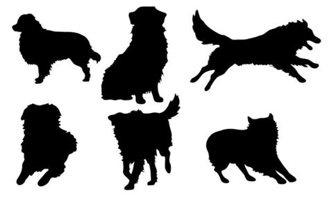 Australian Shepherd Silhouette Images – Browse 815 Stock Photos ...