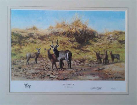 David Shepherd Prints Water Buck Signed