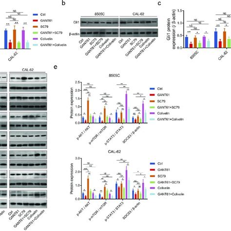 Gli1 Expression And AKT MTOR And JAK STAT3 Pathways In Rescue