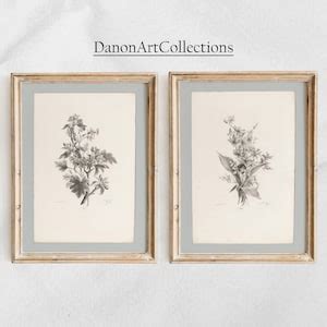 Vintage Botanical Sketches a Set of 2 Vintage Sketches, Wall Print ...