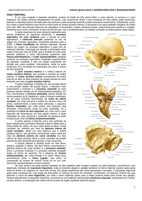 Medresumos 2016 neuroanatomia 22 ossos do crânio PDF