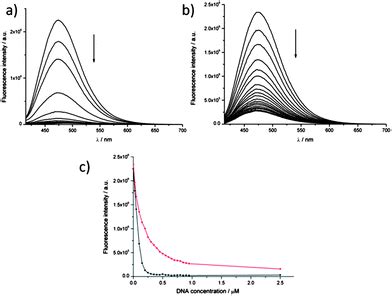 Two In One A PH Sensitive Acridine Based Fluorescent Probe Binds G