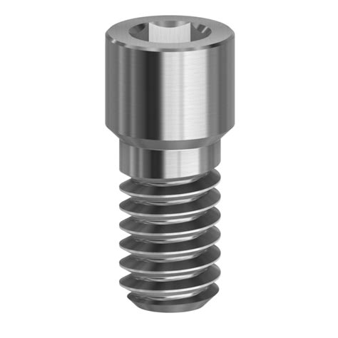 Screw Hex 1 28 Mm Compatible With Dentium Superline Implantium