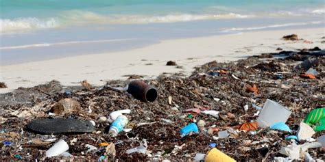 ¿cuáles Son Las Playas Más Contaminadas De México 24 Morelos