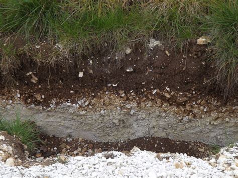 Downland Soil Profile, Upton Grey © Colin Smith :: Geograph Britain and ...
