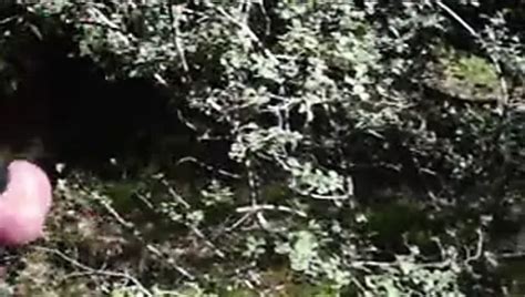 In Der Sonne Wurde Mein Kleiner Immer Erregter Gay Porn D Xhamster